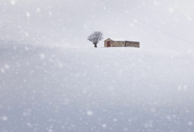 frenguelli-neve