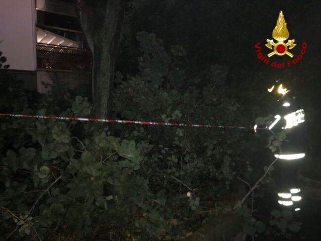 vigili-del-fuoco-1-650x488