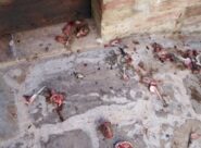 Il gesto vandalico al Museo della musica