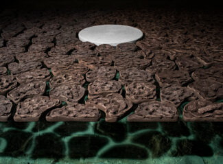Massimiliano_Orlandoni_Land_Tree_Project_03-Copia-325x239