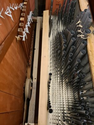organo_morettini-3-1-e1639657550713-300x400