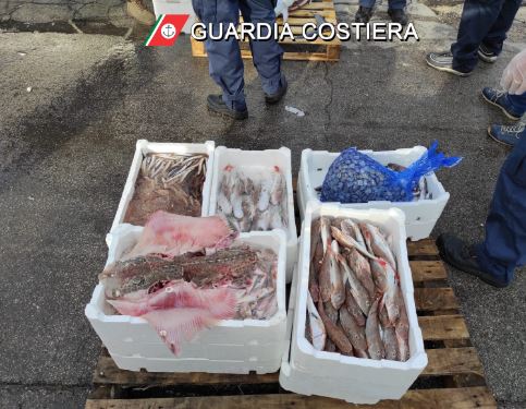 pesce