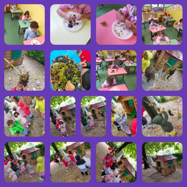 scuola_san_giusepe-4-650x650