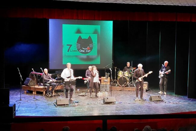 7-lives-one-cat-e1643208999705-650x433