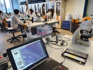 LAB-DISVA-2-325x244