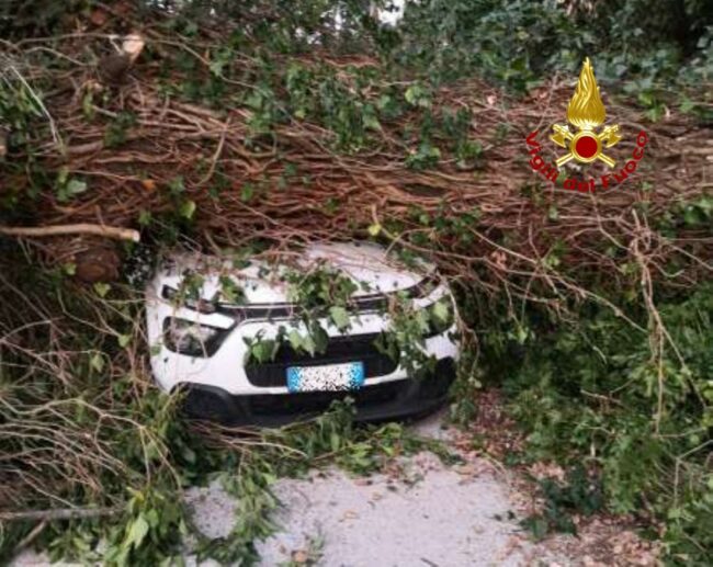 albero-caduto-su-auto-montefano