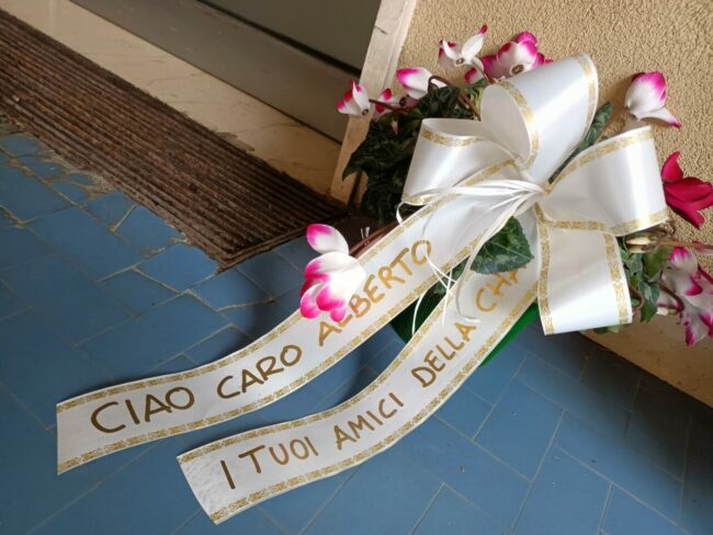 cameli-fiori1-650x488
