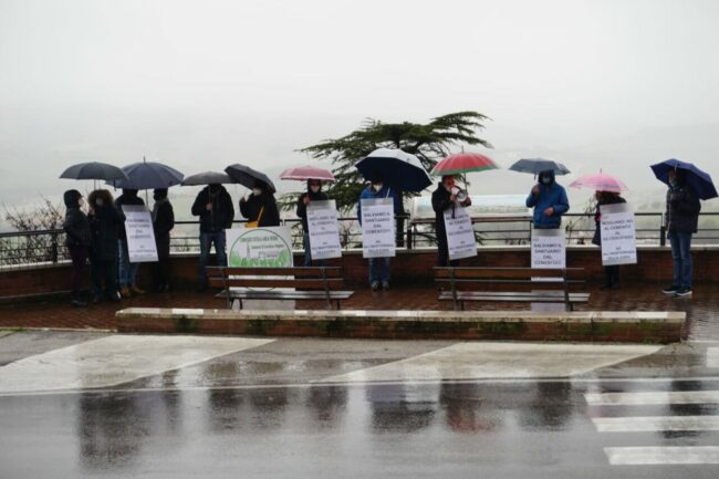 Manifestazione-Mogliano-a-Fermo-2-650x433