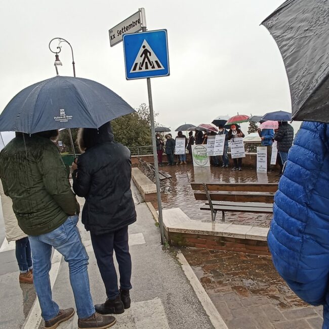 Manifestazione-Mogliano-a-Fermo-4-650x650