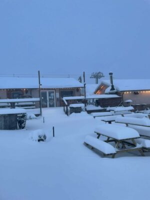 bolognola_z-chalet