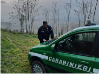 carabinieri-forestali1-325x244