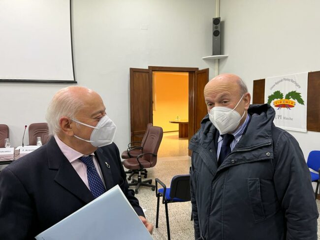 elezioni-upi-2-650x488