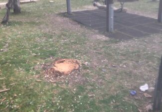 giardini-pubblici-matelica2-e1646132280573-325x225