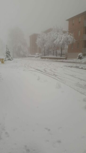 neve_cingoli-rotated-e1645873843503-365x650