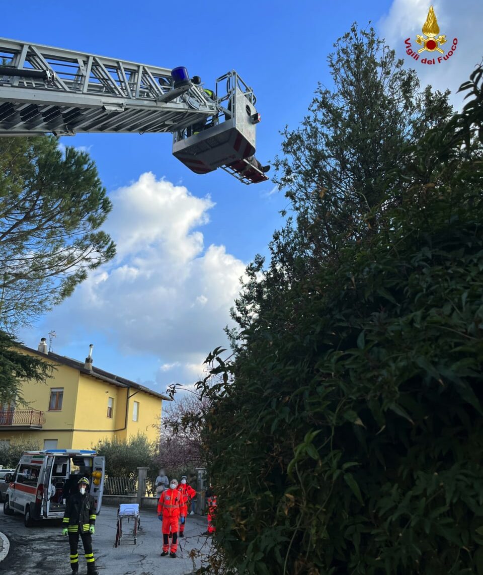 soccorso-pollenza-albero-e1646068245171