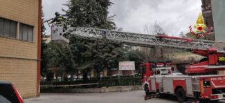 tavolino-albero2-325x149