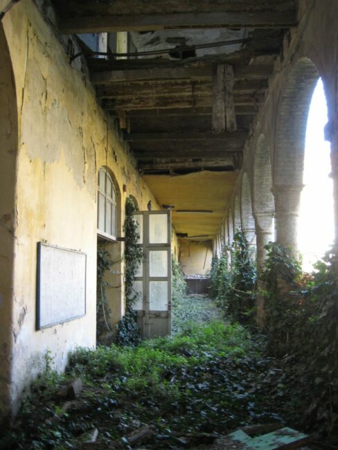 Matilde-Balestrieri2-488x650