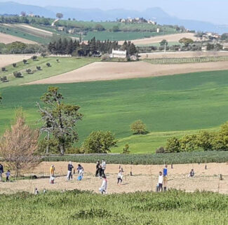 Piantumazione-del-bosco-