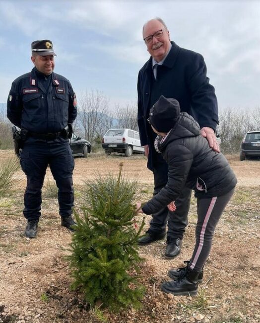 alberi-pianti