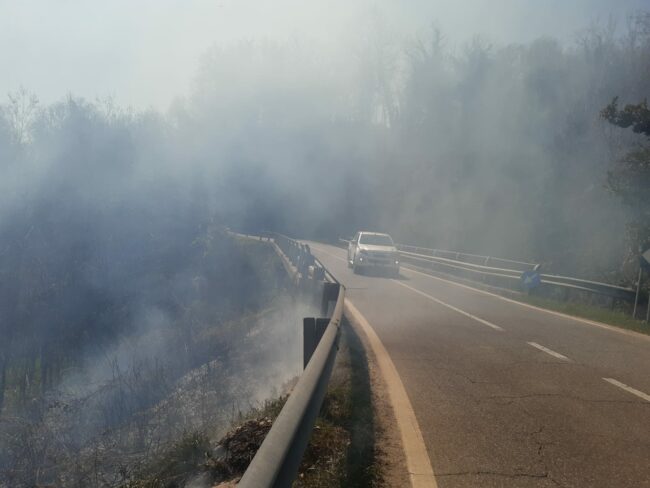 incendio-localita-marciano-san-severino-1-650x488