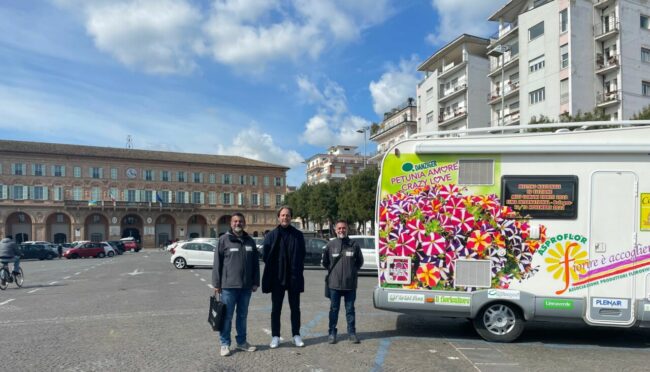 Domolo-Cognigni-Manfredi