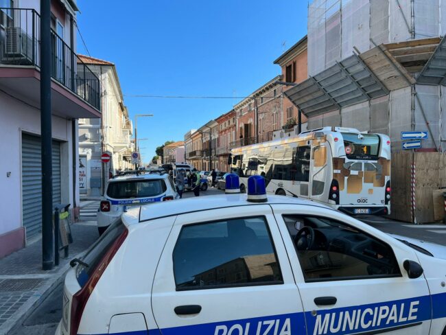 investimento-bimba