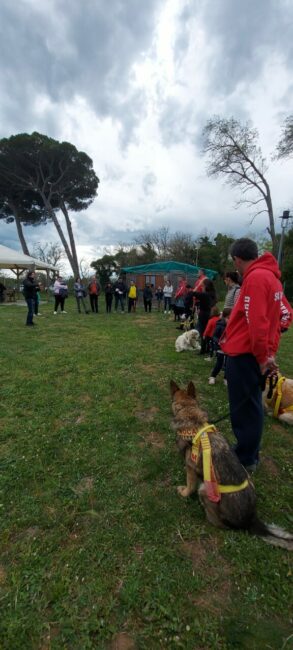 pegasus-porto-recanati-nuovi-amici-recanati-2-293x650