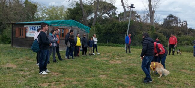pegasus-porto-recanati-nuovi-amici-recanati-5-650x293