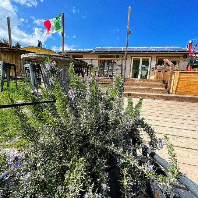bolognola_ski-1-650x650