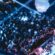 donoma-club