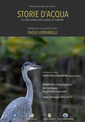 evento-verdarelli