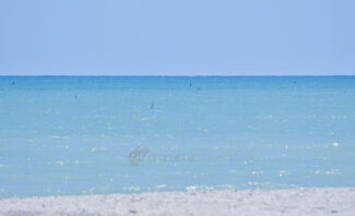 mare-spiaggia-civitanova-1-325x198
