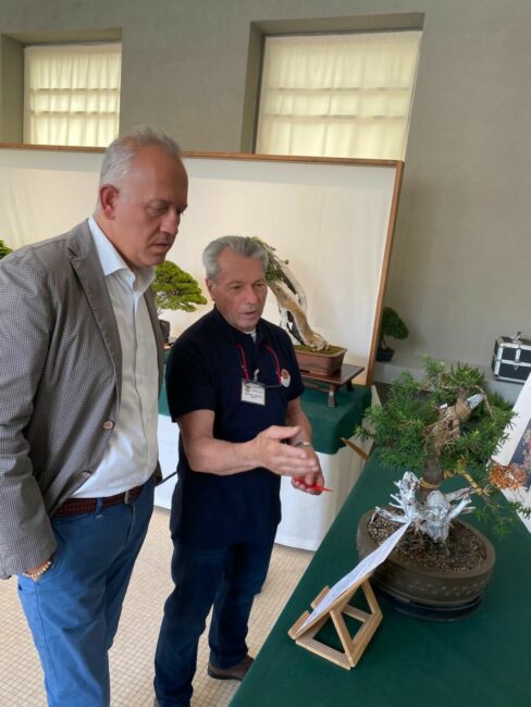 mostra-bonsai-1-488x650