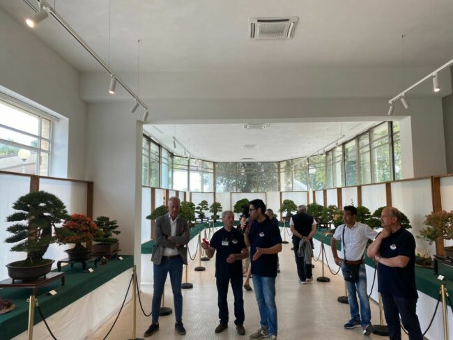 mostra-bonsai-2-650x488