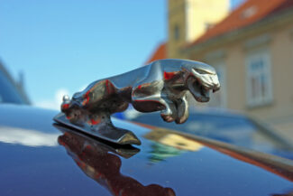 Jaguar