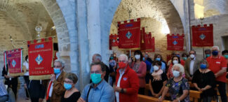 avis_marche-4-325x146