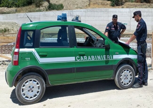 carabinieri-forestali-abusi-edilizi-1-e1655477563149-650x458