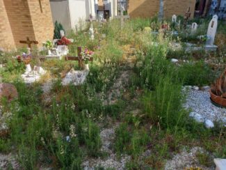 cimitero-porto-recanati1-325x244