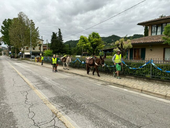 foto-asinelli-20223-650x488
