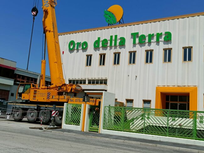 incidene-oro-della-terra