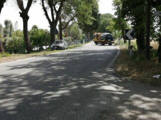 incidente-auto-contro-pianta1_censored-325x244