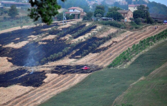 mietitrebba-fuoco-colmurano