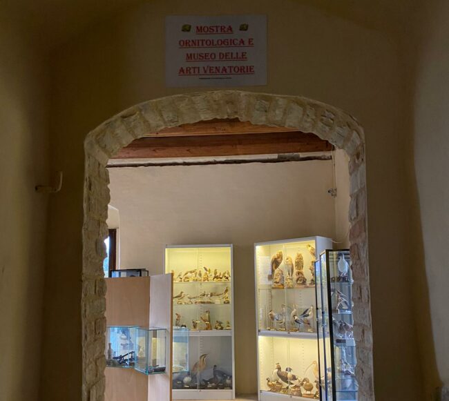 mostra-ornitologica-e-delle-arti-venatorie-2-e1654254237204-650x581