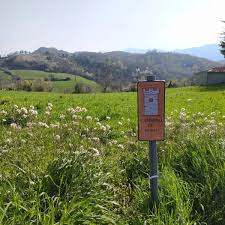 Cammino-dei-Forti1