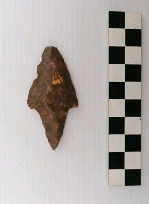 Scavi-archeologici-Pedemontana-Matelica-1-476x650