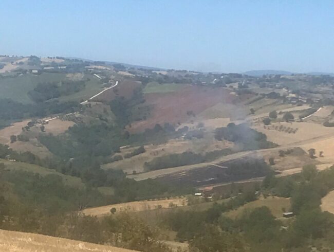 contrada-salti-incendio-e1658231691477-650x490