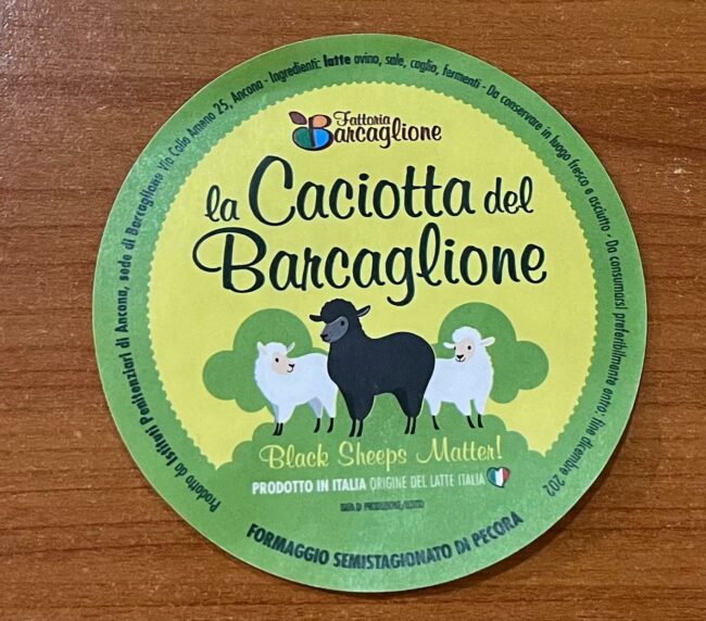 formaggio-barcaglione