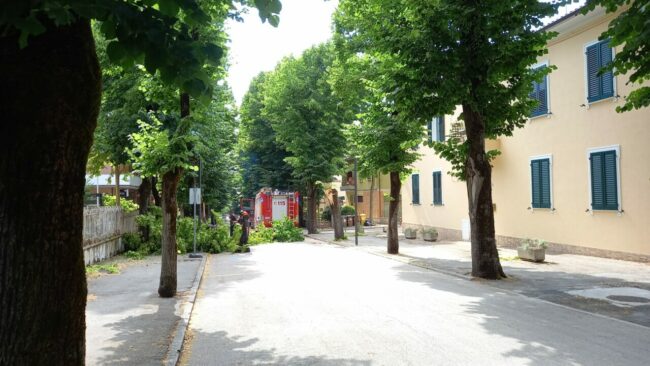 ramo-matelica-2-650x366
