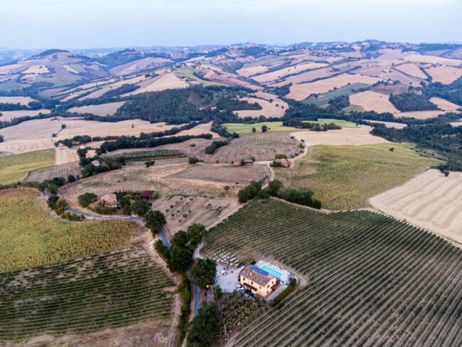 La-tenuta-Cantine-Saputi