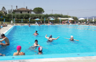 cisonoanchio